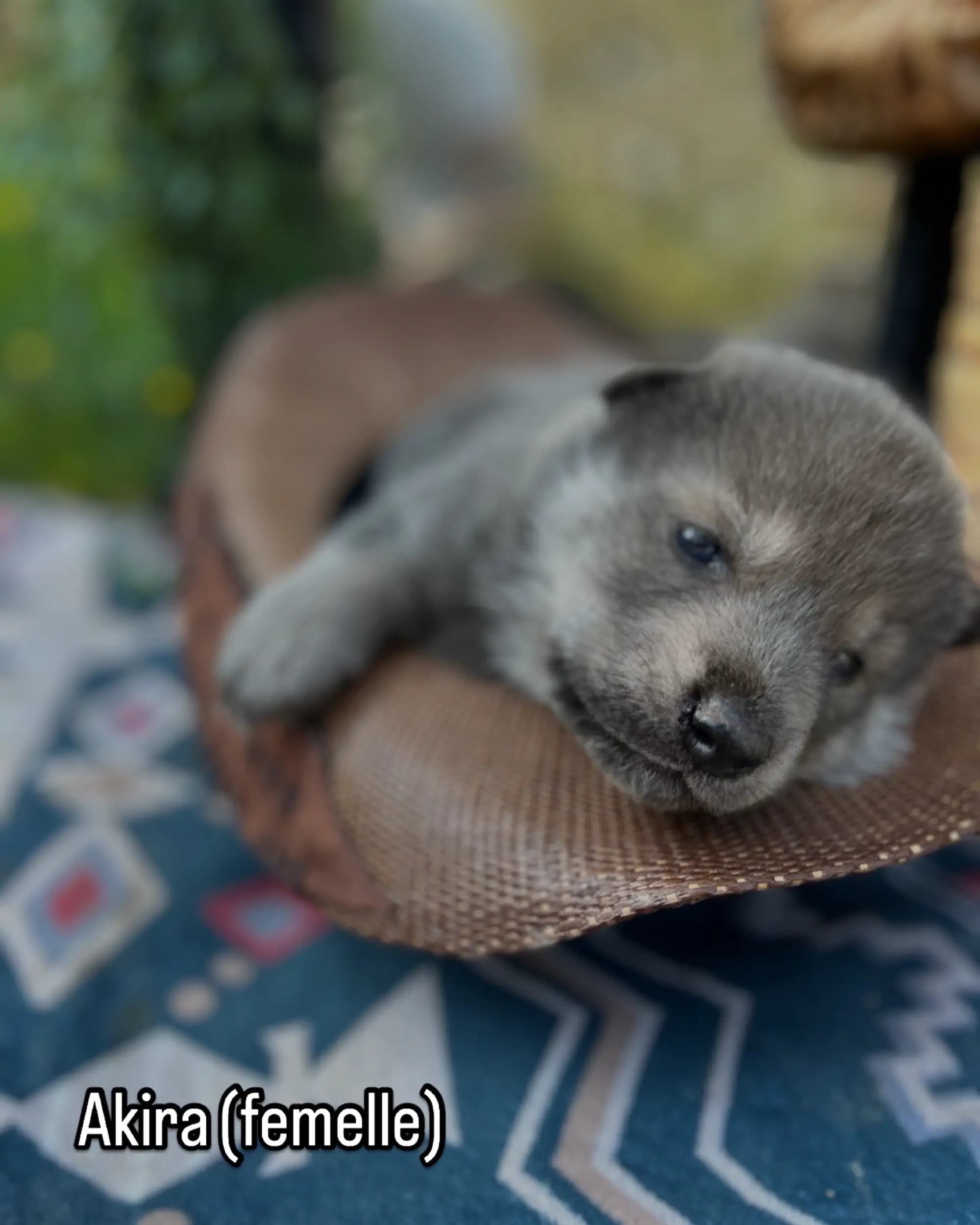 Méthodes d'éducation positive